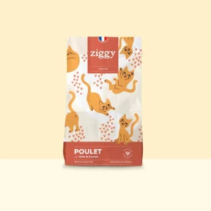Ziggy poulet