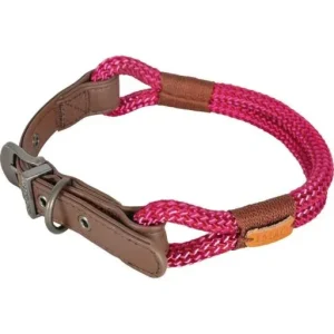 Zolux Hyde Park Collier réglable pour chien marron – France