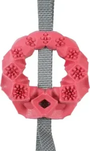 Zolux Juguete Circulo Outdoor Rojo para Perros – France