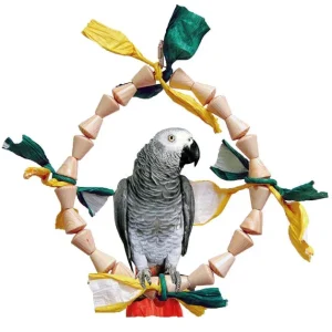 ZOO-MAX Jouet Oiseaux Anneau Blocks 12″